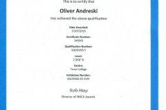 scan30001-page-001